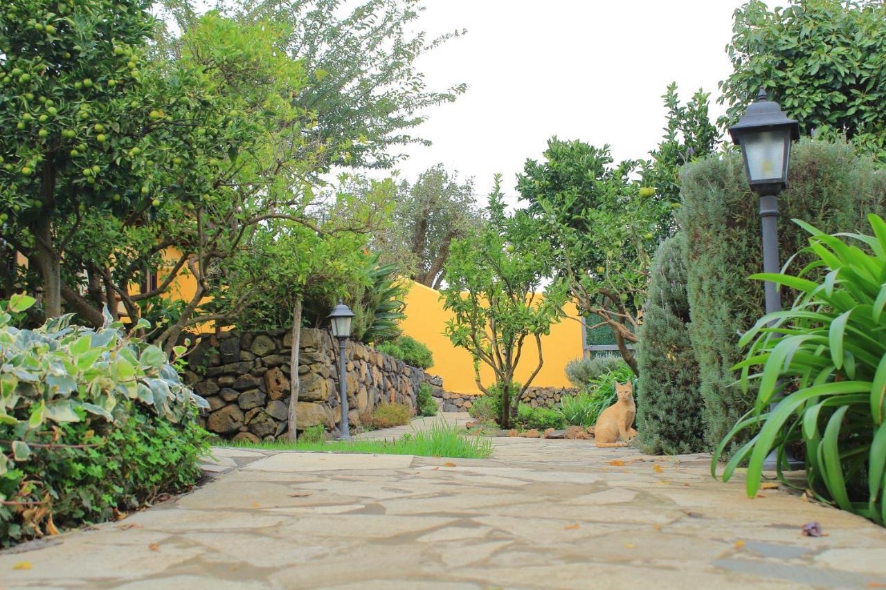 Finca La Majadera El Rosario  Екстериор снимка